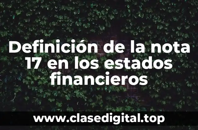 Definición de la nota 17 en los estados financieros