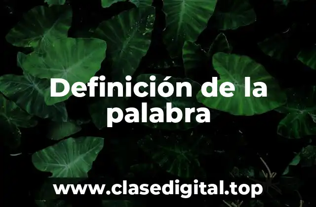 Definición de la palabra