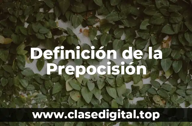 Definición de la Prepocisión