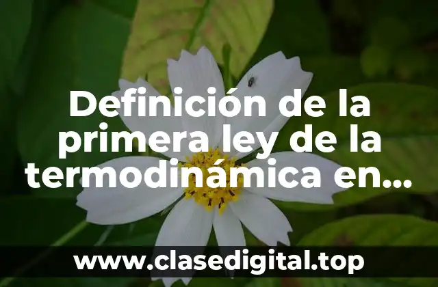 Definición de la primera ley de la termodinámica en biología