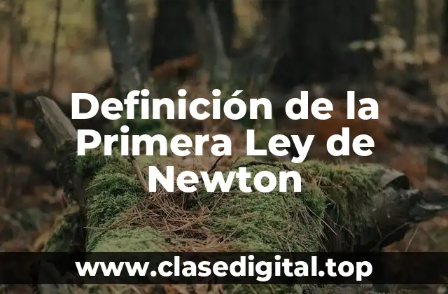 Definición de la Primera Ley de Newton