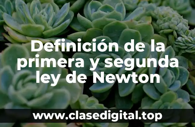 Definición de la primera y segunda ley de Newton