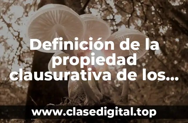 Definición de la propiedad clausurativa de los números racionales