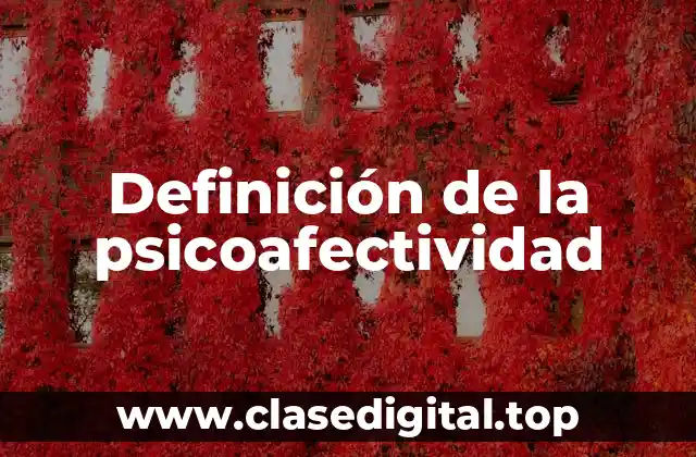 Definición de la psicoafectividad