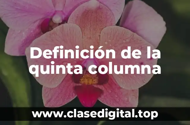 Ejemplos de la quinta columna