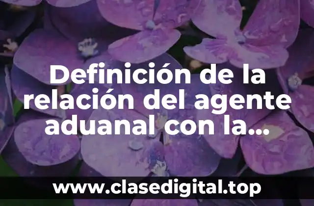 Definición de la relación del agente aduanal con la autoridad