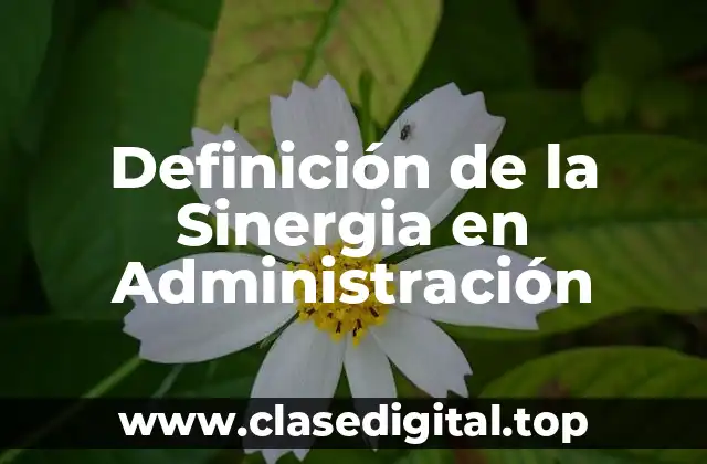 Definición de la Sinergia en Administración