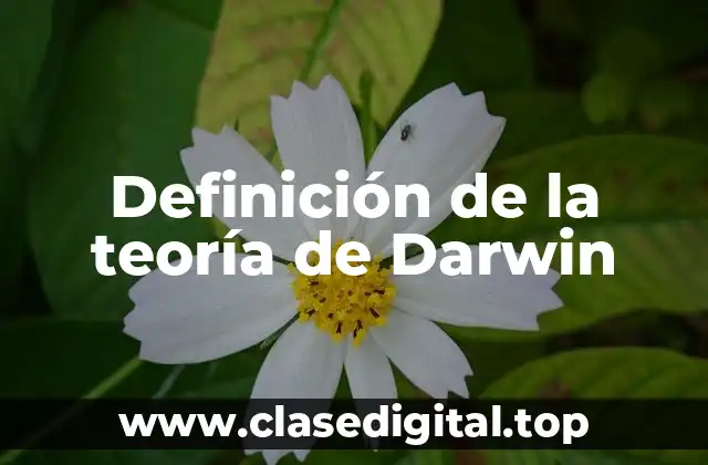Definición de la teoría de Darwin