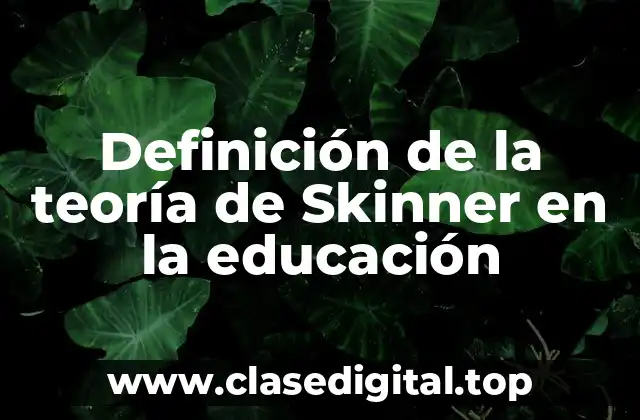 Definición de la teoría de Skinner en la educación