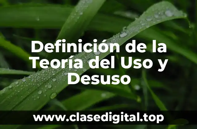 Definición de la Teoría del Uso y Desuso