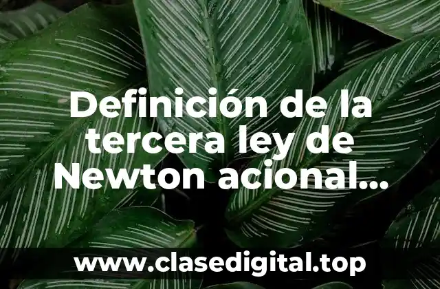 Definición de la tercera ley de Newton acional reacción