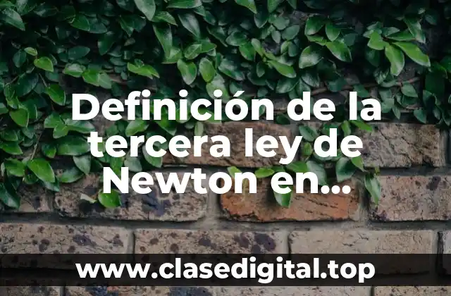 Definición de la tercera ley de Newton en educación física