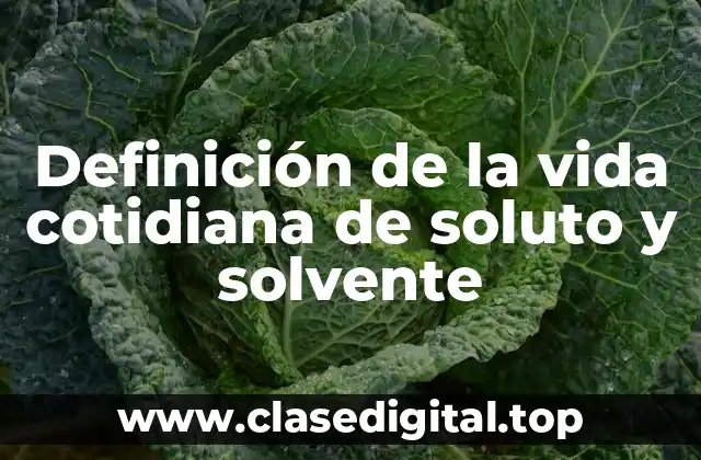 Definición de la vida cotidiana de soluto y solvente