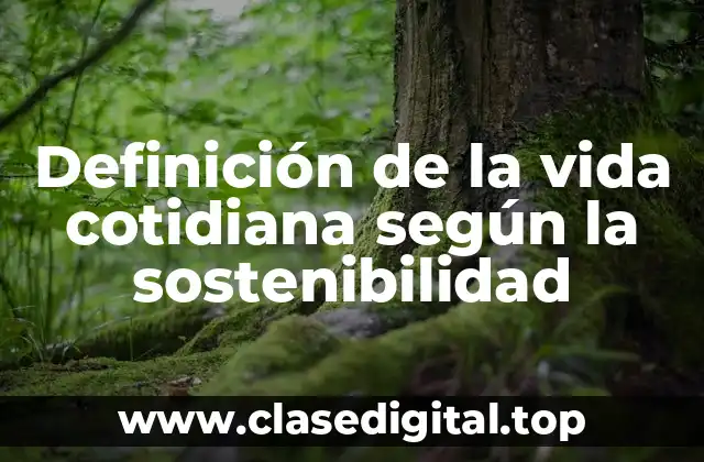 Definición de la vida cotidiana según la sostenibilidad