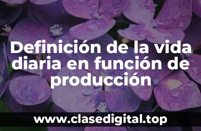 Definición de la vida diaria en función de producción