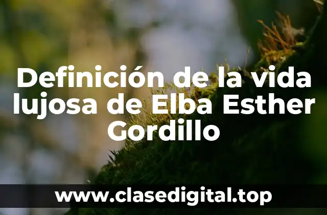 Definición de la vida lujosa de Elba Esther Gordillo