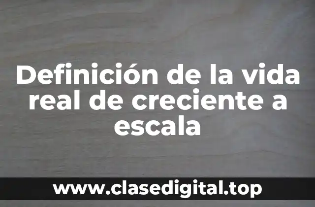 Definición de la vida real de creciente a escala