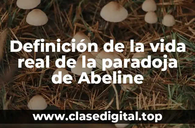 Definición de la vida real de la paradoja de Abeline