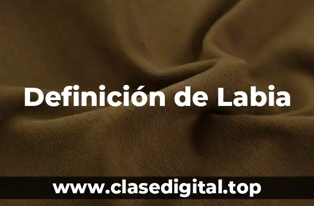 Definición de Labia
