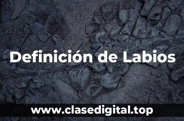 Definición de Labios