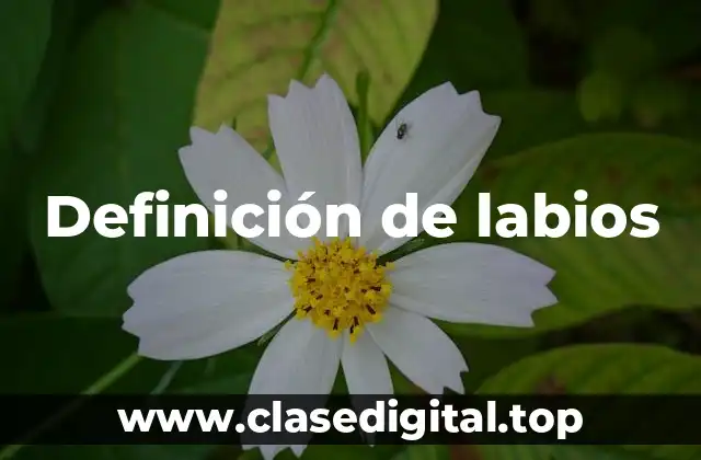 Definición técnica de labios