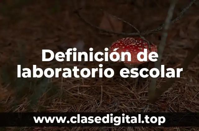 Definición técnica de laboratorio escolar