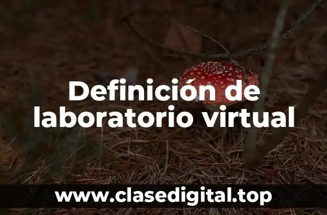 Definición de laboratorio virtual