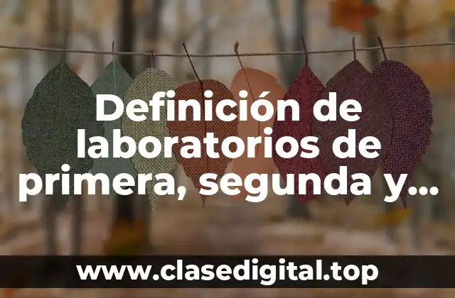 Definición de laboratorios de primera, segunda y tercera parte