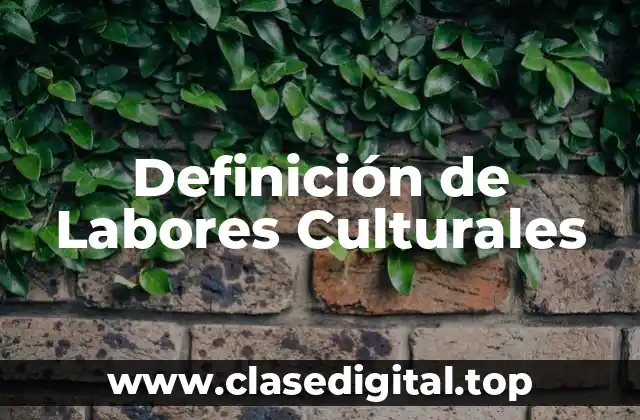 Definición de Labores Culturales