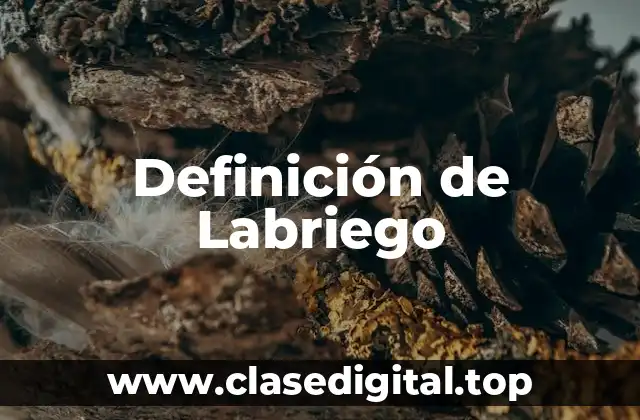 Definición de Labriego