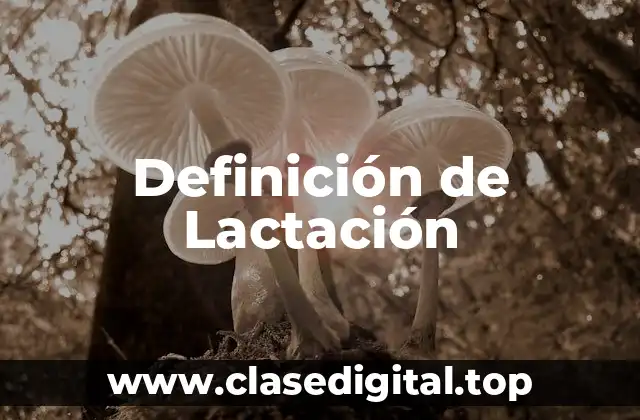 Definición de Lactación