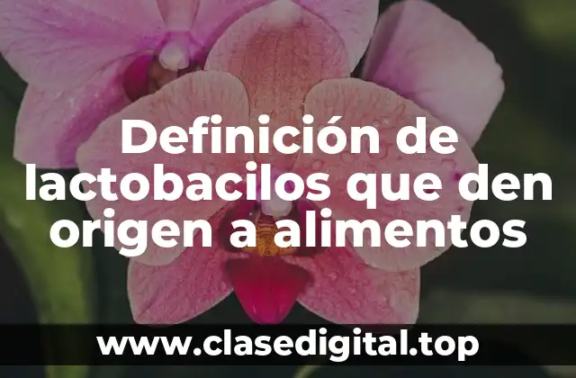 Definición de lactobacilos que den origen a alimentos