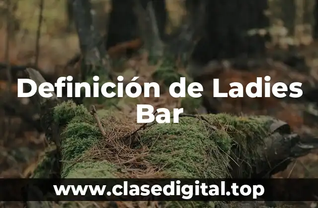Definición de Ladies Bar