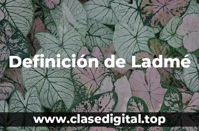 Definición de Ladmé