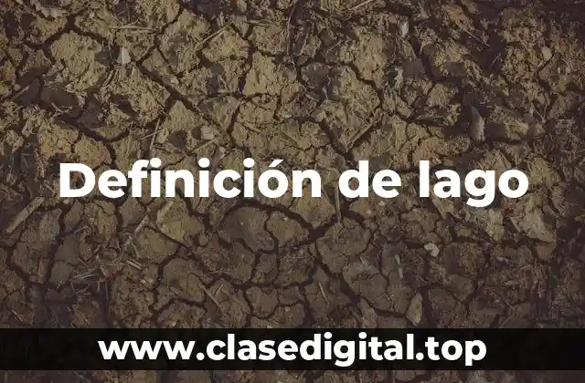 Definición de lago