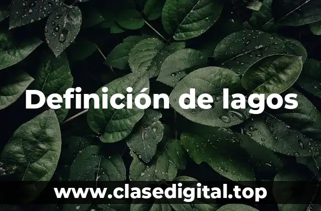 Definición de lagos