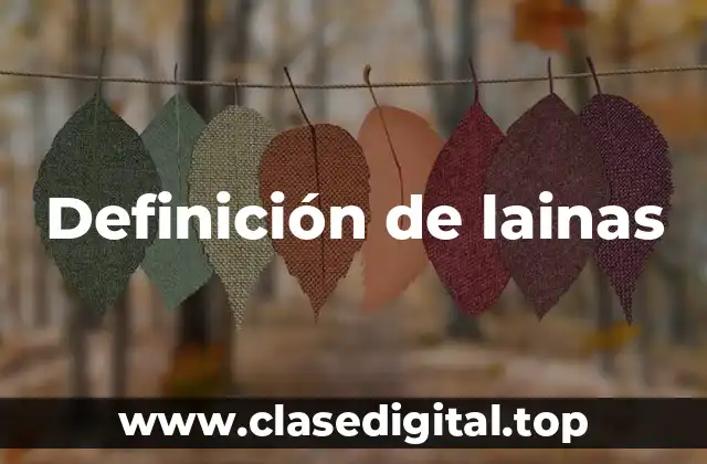 Definición de lainas