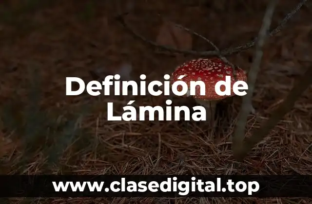 Definición de Lámina
