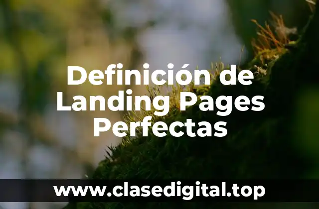 Definición de Landing Pages Perfectas