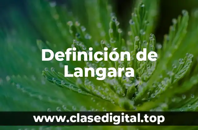 Definición de Langara