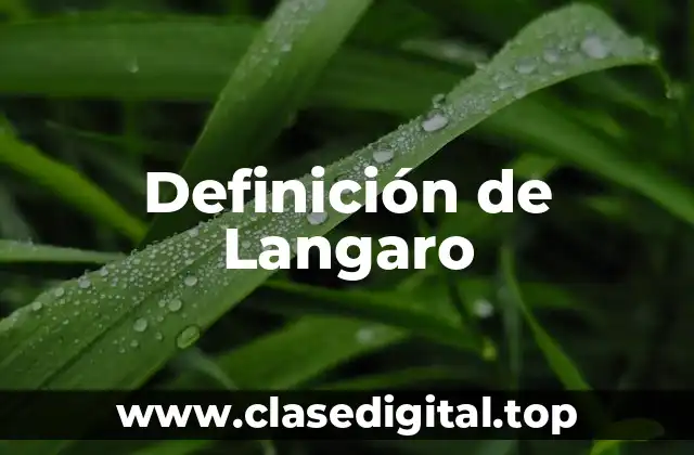 Definición de Langaro