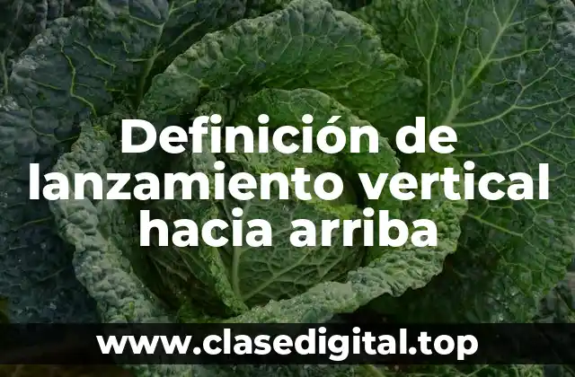 Definición de lanzamiento vertical hacia arriba