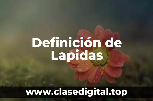 Definición de Lapidas