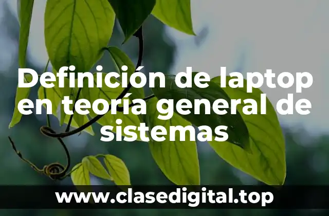 Definición de laptop en teoría general de sistemas