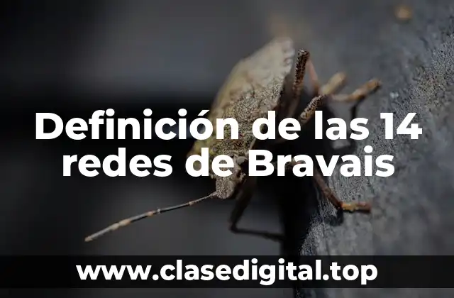 Definición de las 14 redes de Bravais