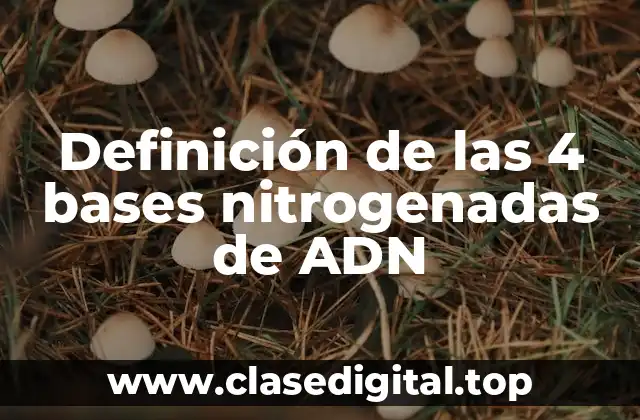 Definición de las 4 bases nitrogenadas de ADN