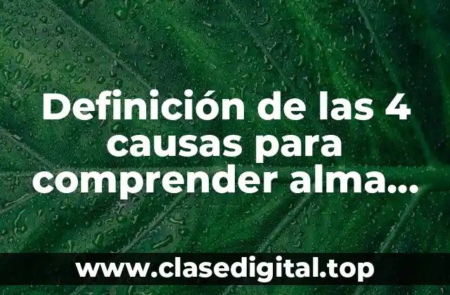 Definición de las 4 causas para comprender alma racional