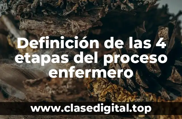 Definición de las 4 etapas del proceso enfermero