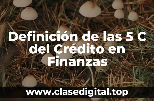 Definición de las 5 C del Crédito en Finanzas