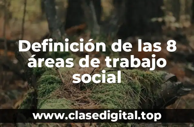Definición de las 8 áreas de trabajo social